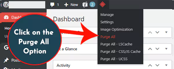 Clear LiteSpeed Cache in WordPress Website Purge All Option