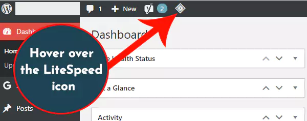 Clear LiteSpeed Cache in WordPress Website icon