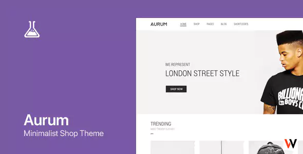 Aurum WooCommerce WordPress Theme