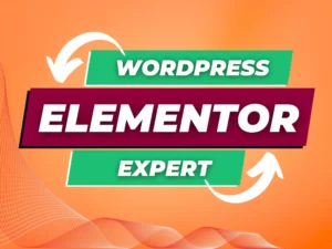 Elementor Expert for maintenance WordPress website